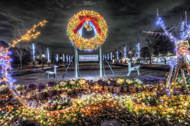 Iluminações de Natal - Winter Vista Illumination - Showa Kinen Koen