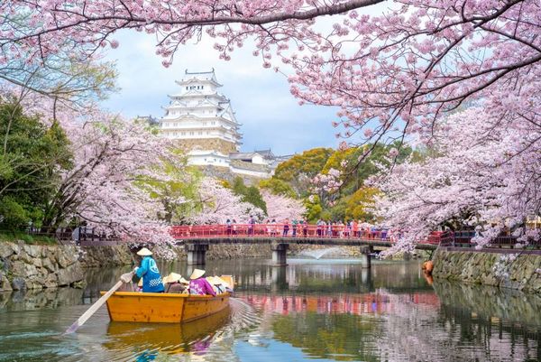 Hanaikada no Castelo de Hirosaki, Aomori