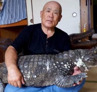 Conheça o japonês que cria um jacaré como animal de estimação há quase 4 décadas